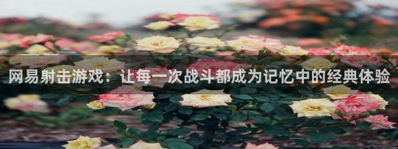 tp钱包好不好