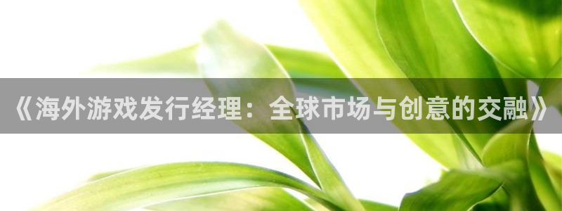 TP钱包DAPP