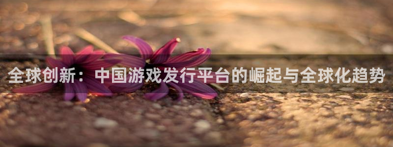 tp钱包里面的币不见了