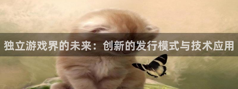 tp钱包怎么变成人民币
